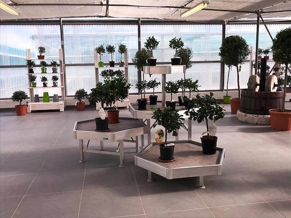 L'Az. Agr. Anania Patrizia si rifà il look: il nuovo Showroom griffato Orlandelli