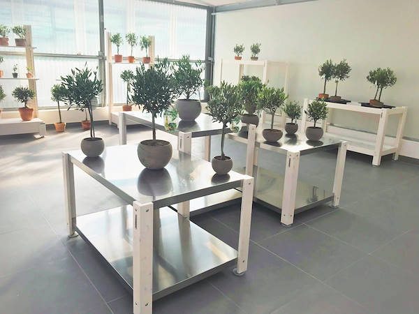 L'Az. Agr. Anania Patrizia si rifà il look: il nuovo Showroom griffato Orlandelli