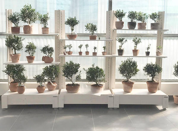 L'Az. Agr. Anania Patrizia si rifà il look: il nuovo Showroom griffato Orlandelli