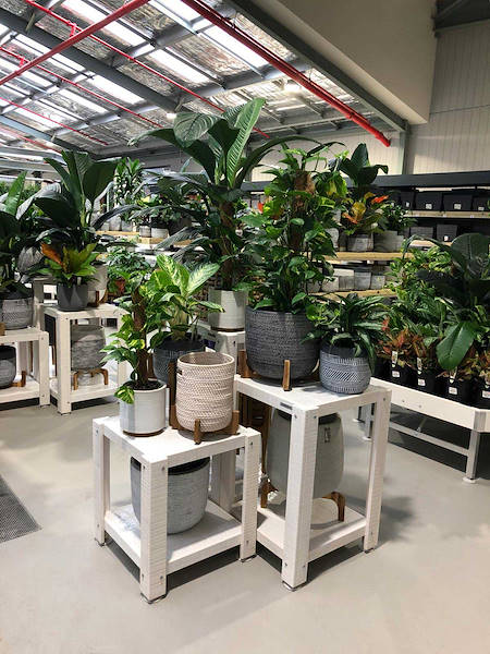 Le nouveau Garden Center Flower Power