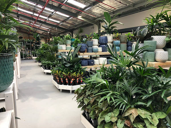 Le nouveau Garden Center Flower Power