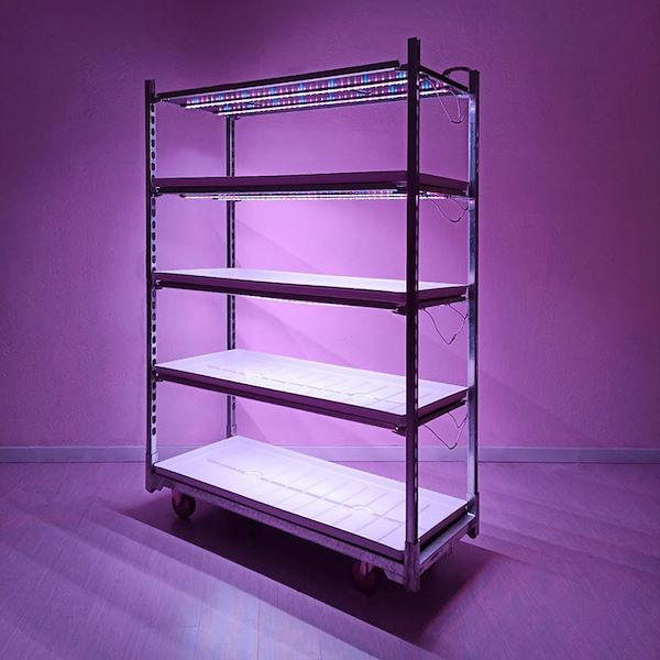 LED Lichter SLIM - Microgreens