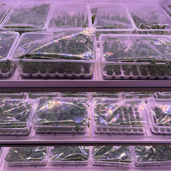 Format PLANT GERMINATION ROOM