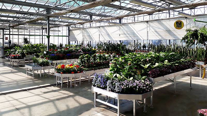 Neues Ausstellungskonzept für Legnaia Vivai