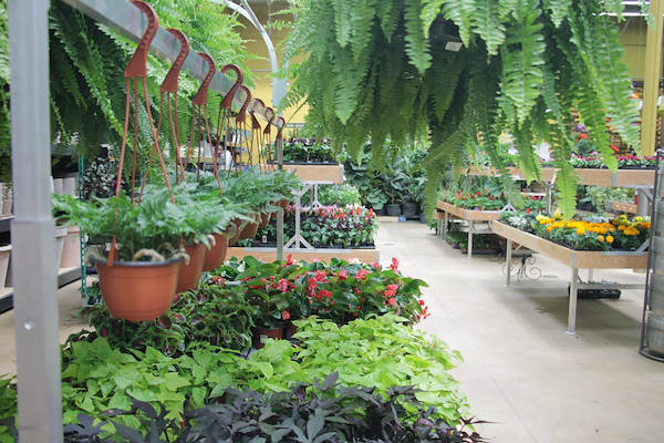 Les meubles AMOR redessinent l'espace plantes et fleurs du Centre Urban Hardware.