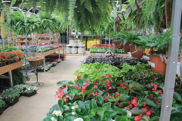 Les meubles AMOR redessinent l'espace plantes et fleurs du Centre Urban Hardware.