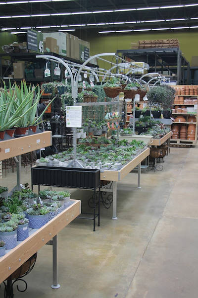 Les meubles AMOR redessinent l'espace plantes et fleurs du Centre Urban Hardware.