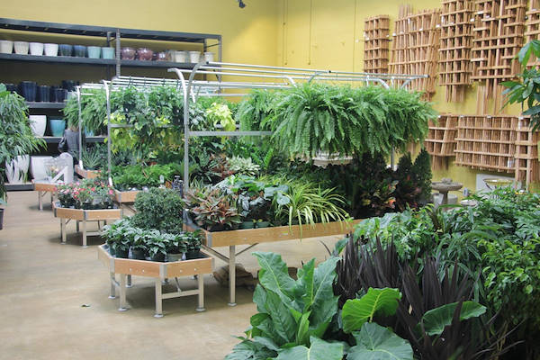 Les meubles AMOR redessinent l'espace plantes et fleurs du Centre Urban Hardware.