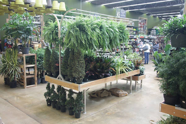 Les meubles AMOR redessinent l'espace plantes et fleurs du Centre Urban Hardware.