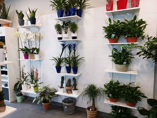 L'Oasi dei fiori в Милане обретает свежий облик благодаря обновленному и элегантному оформлению
