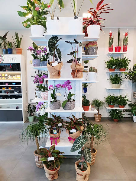 L’Oasi dei fiori a Milano si rinnova con un layout giovane ed elegante