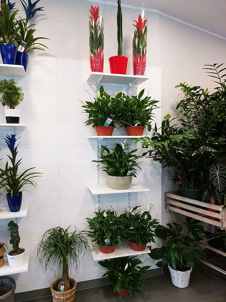 L’Oasi dei fiori a Milano si rinnova con un layout giovane ed elegante