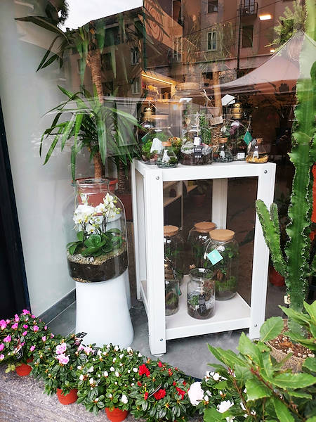 L’Oasi dei fiori a Milano si rinnova con un layout giovane ed elegante