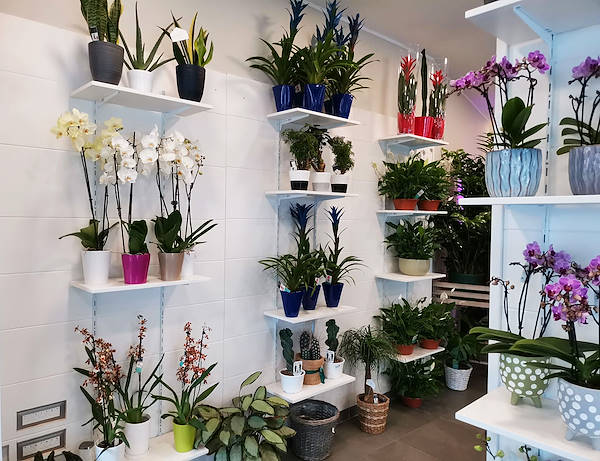 L’Oasi dei fiori a Milano si rinnova con un layout giovane ed elegante