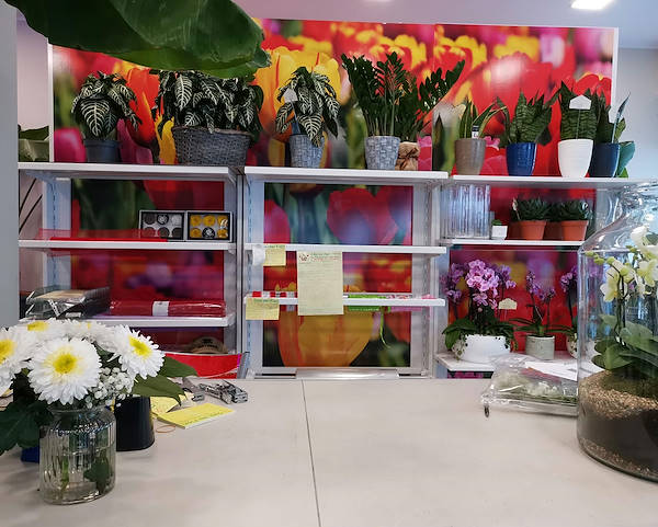L’Oasi dei fiori a Milano si rinnova con un layout giovane ed elegante
