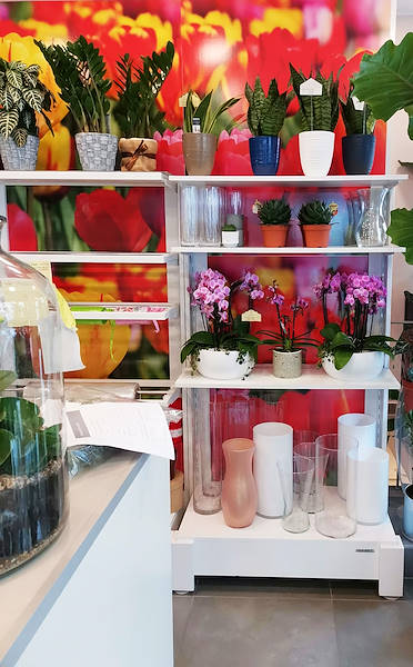 L’Oasi dei fiori a Milano si rinnova con un layout giovane ed elegante