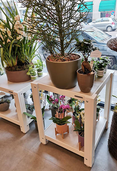 L’Oasi dei fiori a Milano si rinnova con un layout giovane ed elegante