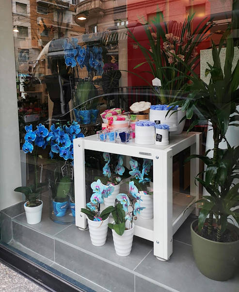 L’Oasi dei fiori a Milano si rinnova con un layout giovane ed elegante