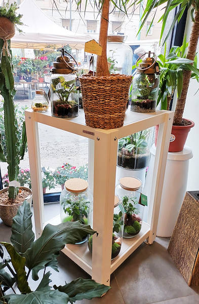 L'Oasi dei fiori de Milan fait peau neuve avec un aménagement jeune et élégant