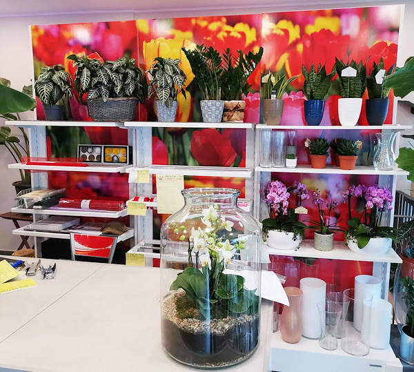 L'Oasi dei fiori de Milan fait peau neuve avec un aménagement jeune et élégant