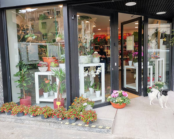 L'Oasi dei fiori de Milan fait peau neuve avec un aménagement jeune et élégant