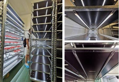  Carritos DC Orlandelli con lámparas C-LED