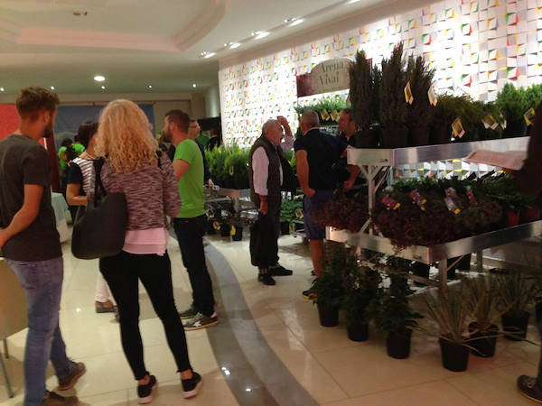 Meeting Arena Vivai - Piante da esterno