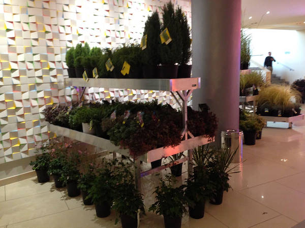 Meeting Arena Vivai - Piante da esterno