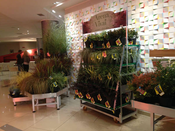 Meeting Arena Vivai - Piante da esterno