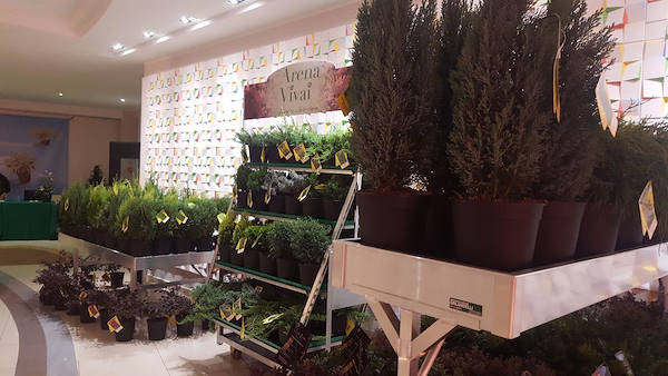 Meeting Arena Vivai - Piante da esterno