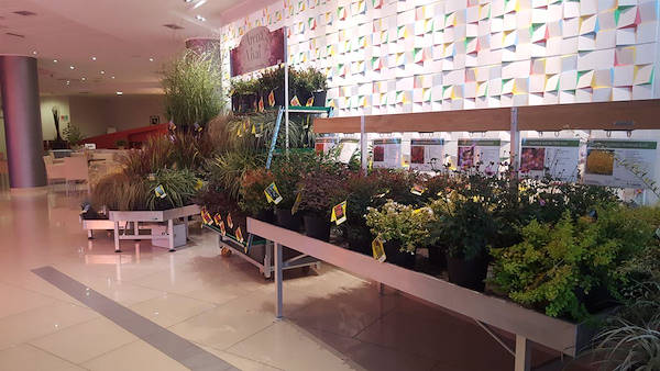 Meeting Arena Vivai - Piante da esterno