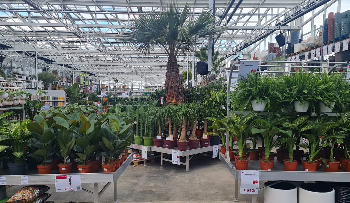 Megatek inaugura il suo nuovo Garden: 6500 mq dedicati al mondo green