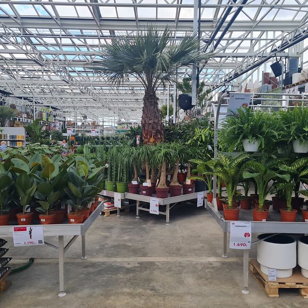 L'INAUGURAZIONE DI MEGATEK GARDEN