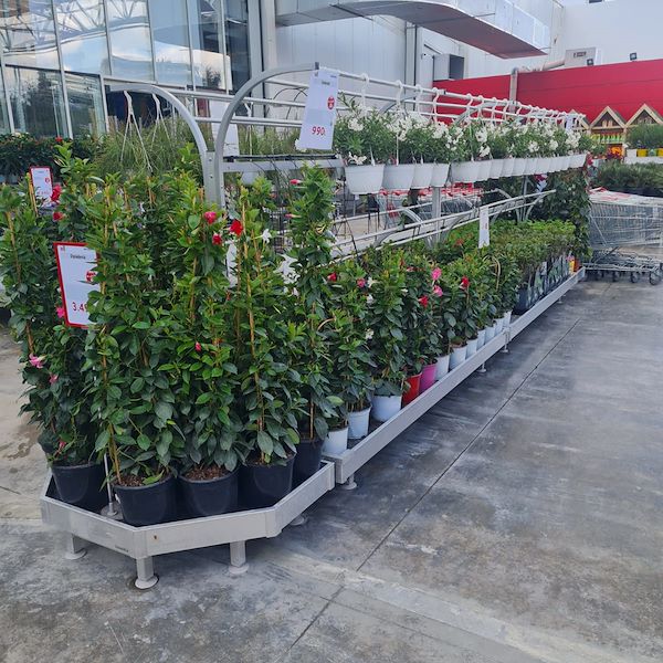 L'INAUGURAZIONE DI MEGATEK GARDEN