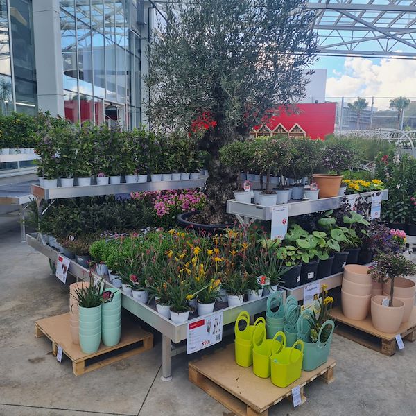 L'INAUGURAZIONE DI MEGATEK GARDEN