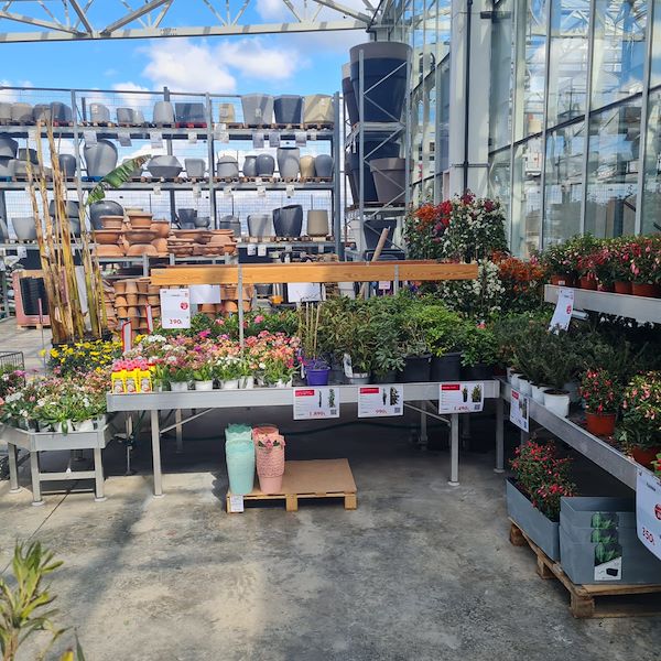 L'INAUGURAZIONE DI MEGATEK GARDEN