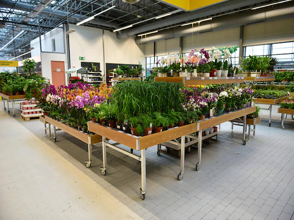 MERKUR erweitert die Pflanzen- und Blumenabteilung um die Orlandelli-Konzepte