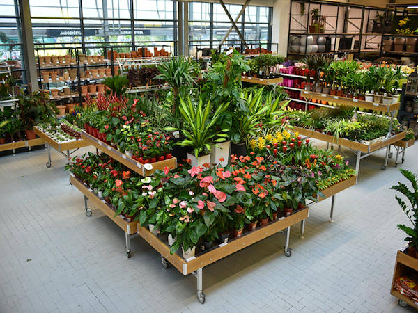 MERKUR erweitert die Pflanzen- und Blumenabteilung um die Orlandelli-Konzepte