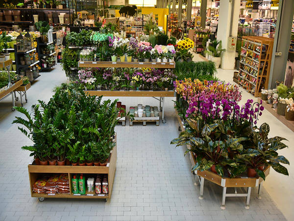 MERKUR erweitert die Pflanzen- und Blumenabteilung um die Orlandelli-Konzepte