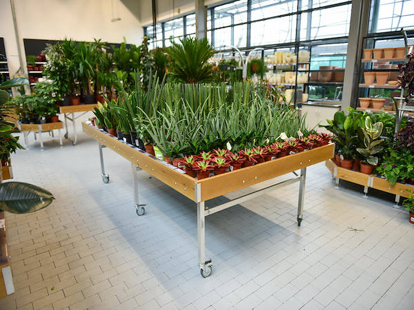 MERKUR esalta il reparto piante e fiori con i concept Orlandelli