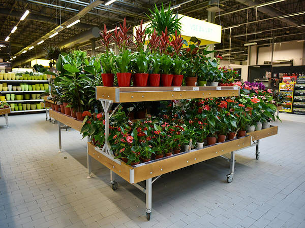 MERKUR esalta il reparto piante e fiori con i concept Orlandelli