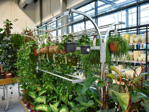 MERKUR esalta il reparto piante e fiori con i concept Orlandelli