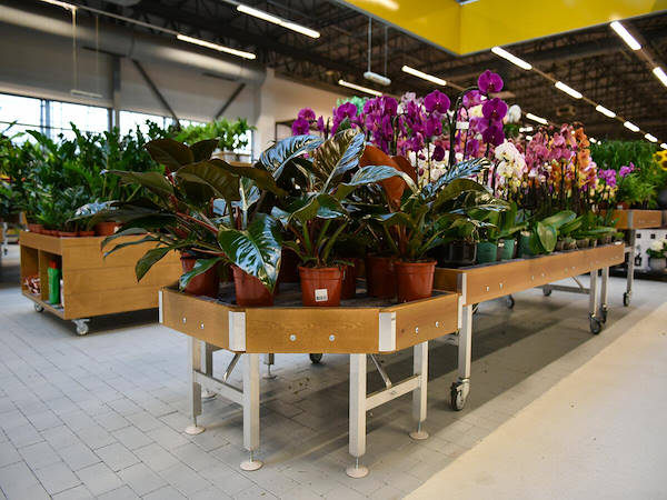 MERKUR esalta il reparto piante e fiori con i concept Orlandelli