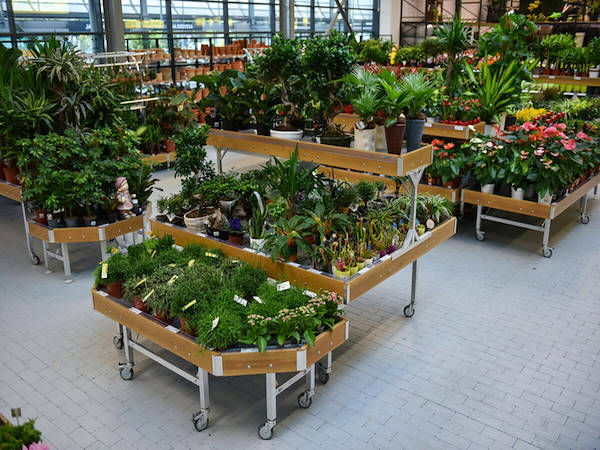 MERKUR potencia el departamento de plantas y flores con los conceptos de Orlandelli