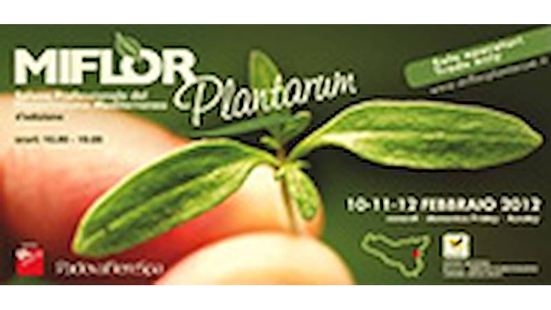 MIFLOR Plantarum