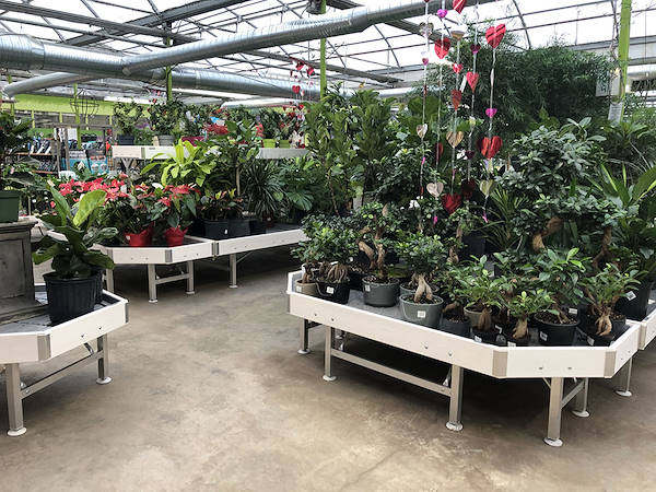 Minter Country Garden обновляет выставку растений и цветов вместе с Orlandelli