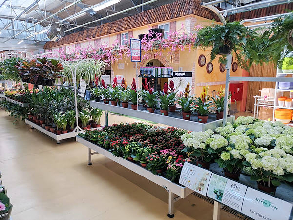 Mondo Verde Garden Center, indoor remodeling