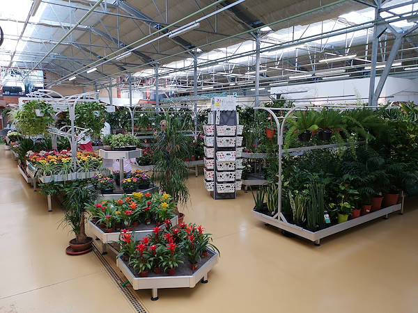 Mondo Verde Garden Center, indoor remodeling