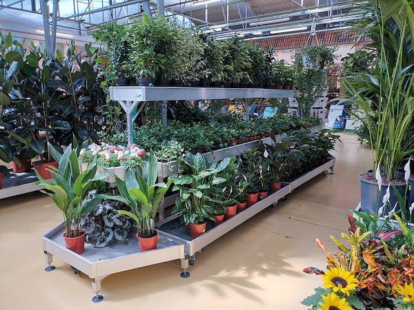 Mondo Verde Garden Center, indoor remodeling