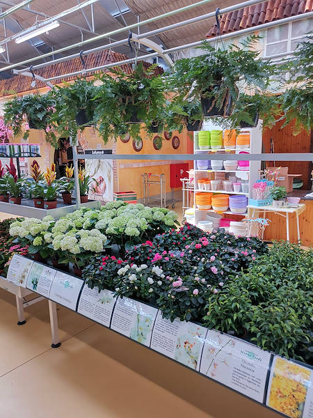 Mondo Verde Garden Center, restyling dell'area dedicata alle piante da interno